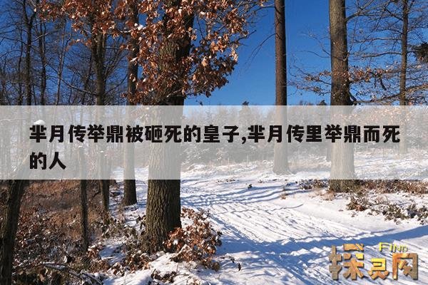 芈月传举鼎被砸死的皇子,芈月传举鼎被砸死的皇子是哪一集