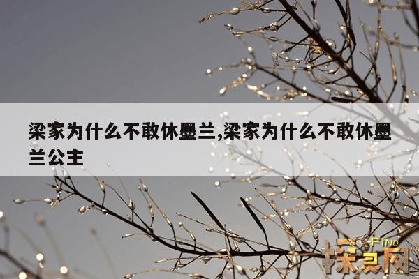 梁家为什么不敢休墨兰,小公爷第几集强吻明兰