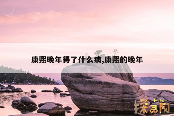 康熙晚年得了什么病,康熙的晚年