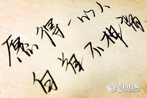 “愿得—心人,白头不相离”作者,愿得一心人,白头不相离是谁写的