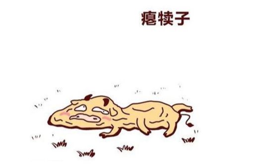 东北的犊子有多少 东北的犊子是啥意思 东北的犊子有多少 东北的犊子是啥意思