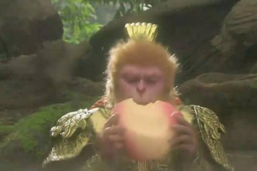 金蝉子的由来,金蝉子是怎么来的