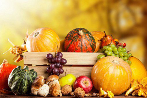 五谷丰登是哪五谷,五谷丰登是哪五谷怎么读