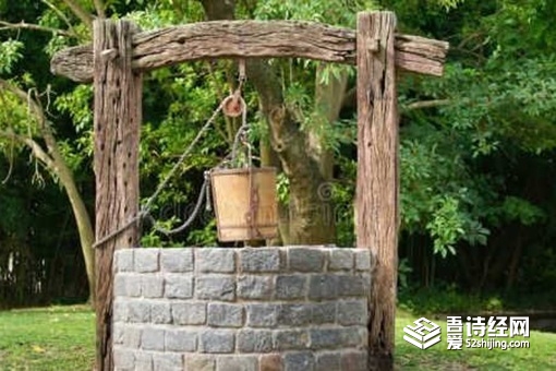 古人为什么要在井里放乌龟