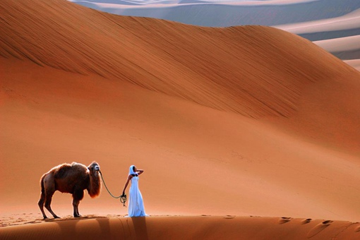 西域和匈奴分别指哪里