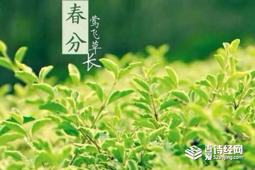 关于春分的优美句子 春分节气古诗五言四句