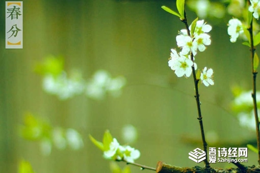 关于春分的优美句子 春分节气古诗五言四句