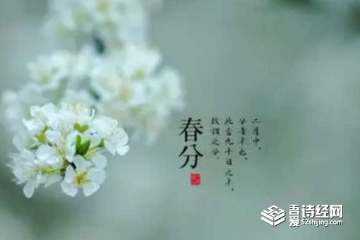 关于春分的优美句子 春分节气古诗五言四句