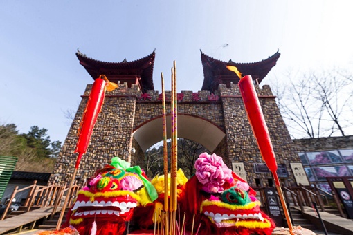 黄陂僵狮子的科学解释 黄陂僵狮子是被上身吗