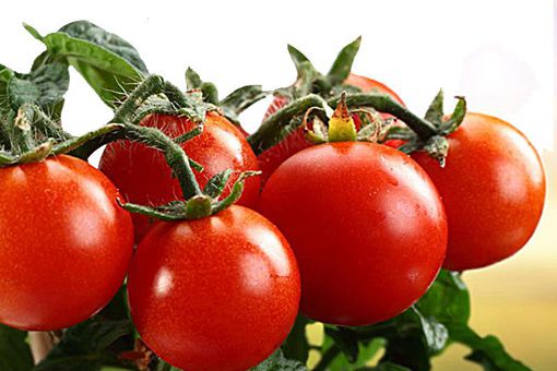 古代人是怎么吃火锅的 用的是什么佐料 古代人是怎么吃火锅的 用的是什么佐料