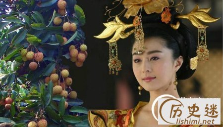 杨贵妃喜欢吃什么水果?荔枝如何送达长安?,杨贵妃最爱吃的四种食物
