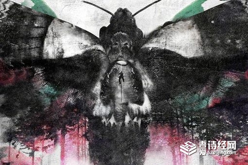 献王墓的头为什么是蛇 古滇国献王是个怎样的人