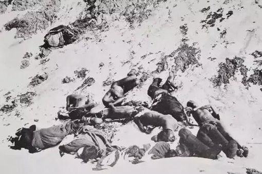 丁戊奇荒饿死了多少人 丁戊奇荒真的饿死了一千万人吗 丁戊奇荒饿死了多少人 丁戊奇荒真的饿死了一千万人吗