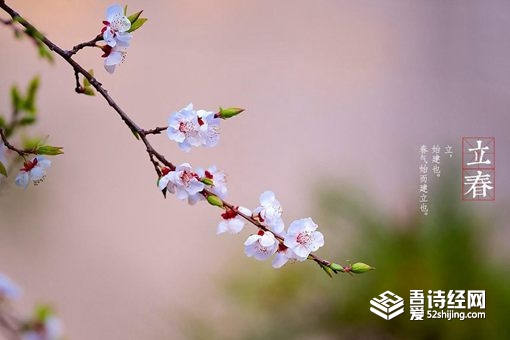 躲春是什么意思 2021立春为什么要躲着