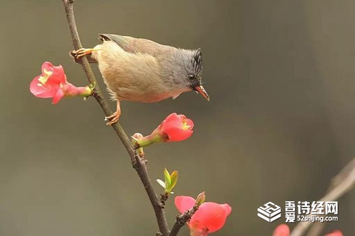 躲春是什么意思 2021立春为什么要躲着