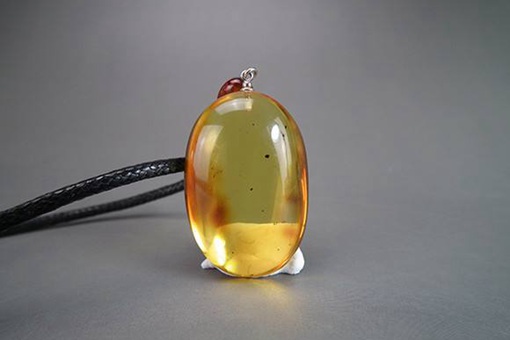 秦岭神树尸茧是什么,揭秘尸茧的来历作用是否真实存在 秦岭神树尸茧是什么,揭秘尸茧的来历作用是否真实存在