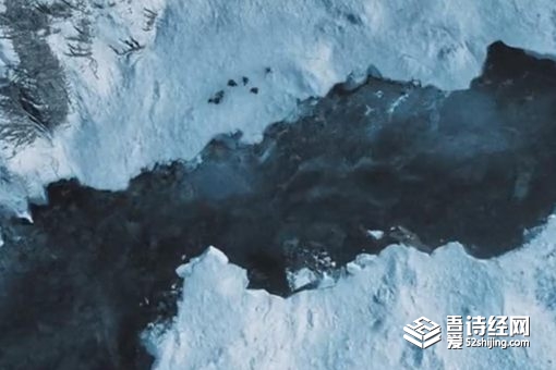 雪弥勒真的存在吗?,雪弥勒是否真的存在