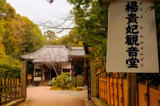 杨贵妃真的去了日本吗 山口百惠真的是杨贵妃后裔吗 杨贵妃真的去了日本吗 山口百惠真的是杨贵妃后裔吗