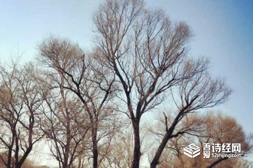 自惭形秽的意思 自惭形秽的故事简介