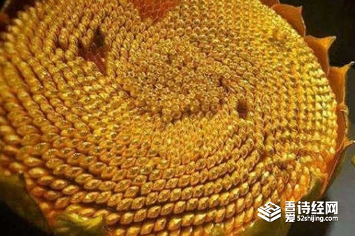 清朝金瓜子现在值多少钱 清朝皇帝打赏为什么用金瓜子