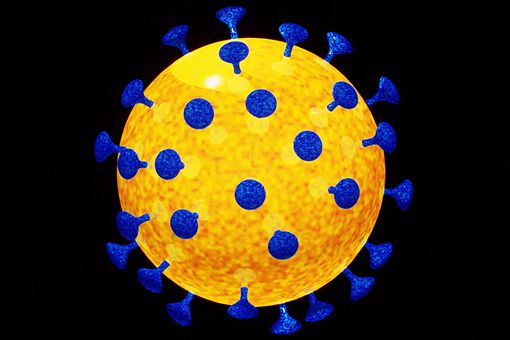 埃博拉病毒怎么来的 埃博拉病毒死了多少人