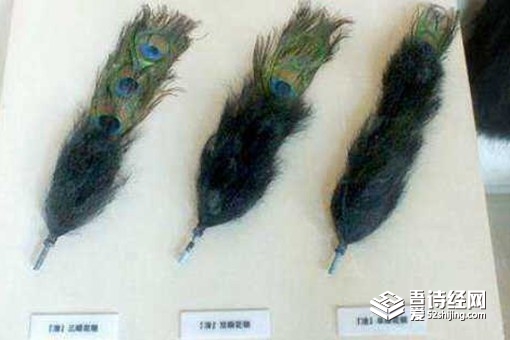 清朝三眼花翎是什么 为什么这么珍贵