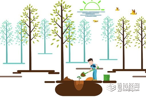 清明节放风筝是希望什么 除病消灾还是步步高升