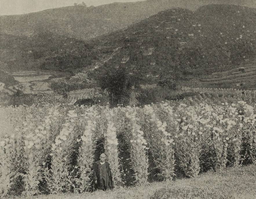 晚清时期民间是什么样子的?晚清珍贵老照片 晚清时期民间是什么样子的?晚清珍贵老照片