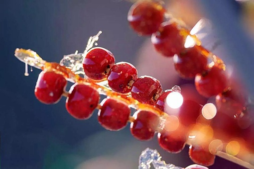 古代冰糖葫芦只有山楂味吗