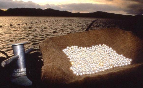 和珅有后代吗?和坤的后代结果是怎样的 和珅有后代吗?和坤的后代结果是怎样的