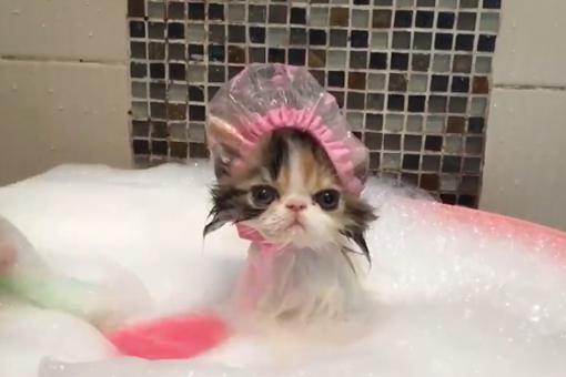 腊月二十七有什么风俗 腊月二十七干的事是什么 腊月二十七有什么风俗 腊月二十七干的事是什么