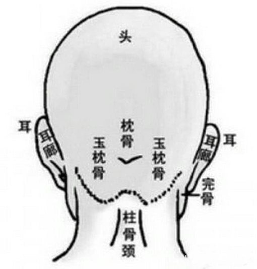 反骨到底是什么东西长在哪里?为什么有反骨就是不忠不义之人? 反骨到底是什么东西长在哪里?为什么有反骨就是不忠不义之人?