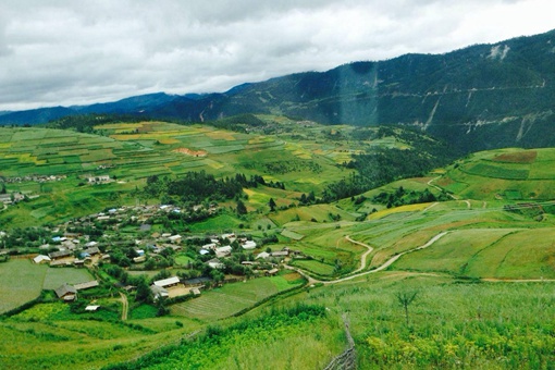 蝗灾怎么形成的?蝗灾到底是怎么引起的? 蝗灾怎么形成的?蝗灾到底是怎么引起的?