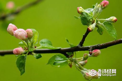 躲春怎么躲 躲春时间和方法介绍