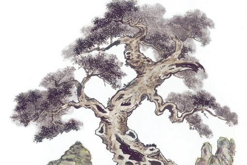 一人不进庙,二人不看井,三人不抱树是什么意思揭秘 一人不进庙,二人不看井,三人不抱树是什么意思揭秘