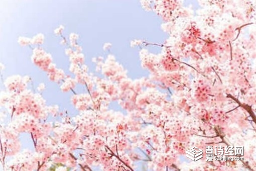 关于春的成语有哪些 关于春的成语大全四个字