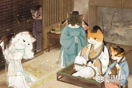 狸奴是什么意思 狸奴指宠物还是孩子