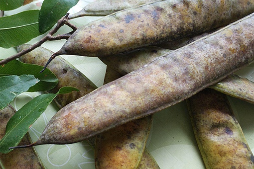 古人常用什么洗头发