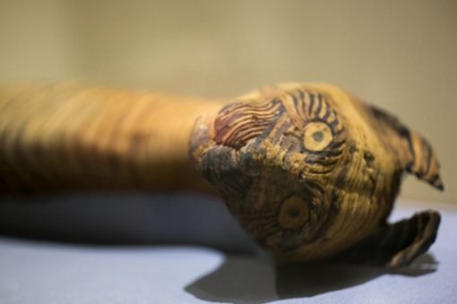 埃及木乃伊是怎么形成的 埃及木乃伊制作方法 埃及木乃伊是怎么形成的 埃及木乃伊制作方法