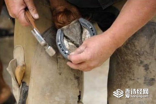 钉马掌是什么意思 古代战马为什么要钉马掌