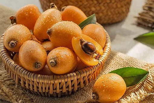 枇杷起源于哪里 枇杷原产地到底是中国还是日本