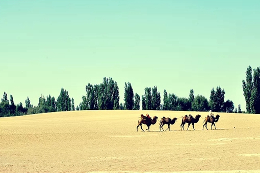 丝绸之路的主要商品是哪些?丝绸之路的资料介绍 丝绸之路的主要商品是哪些?丝绸之路的资料介绍
