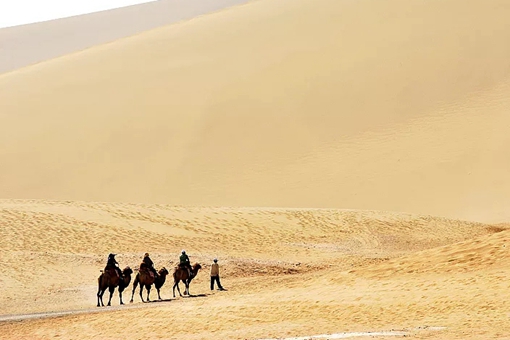 丝绸之路的主要商品是哪些?丝绸之路的资料介绍 丝绸之路的主要商品是哪些?丝绸之路的资料介绍