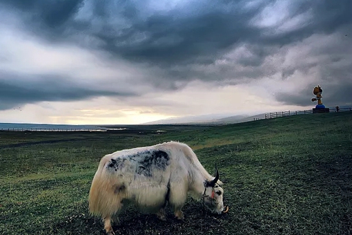 丝绸之路的主要商品是哪些?丝绸之路的资料介绍 丝绸之路的主要商品是哪些?丝绸之路的资料介绍