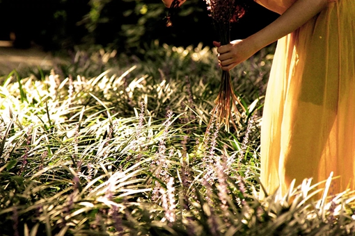 我不杀伯仁伯仁却因我而死是什么意思?伯仁典故出处介绍