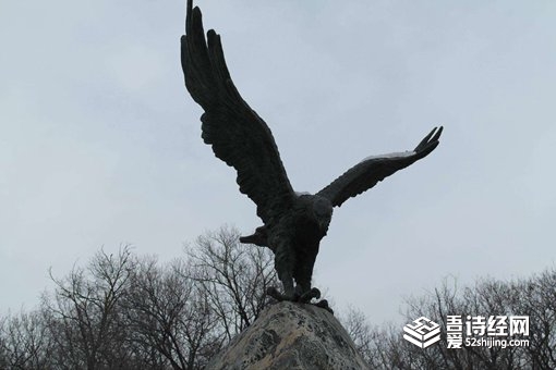 海东青指的是什么?传说中海东青真的存在吗?