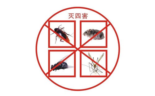 四害指的是哪四种动物,五毒谁是老大