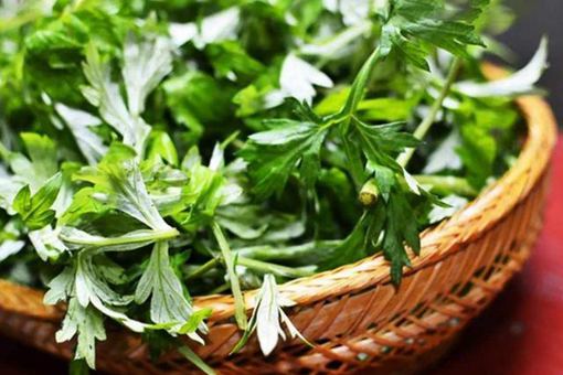 端午节除了吃粽子还有哪些风俗 这八大风俗你知道吗