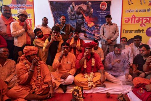 印度人为什么要喝牛尿?这与他们的信仰有什么关系? 印度人为什么要喝牛尿?这与他们的信仰有什么关系?