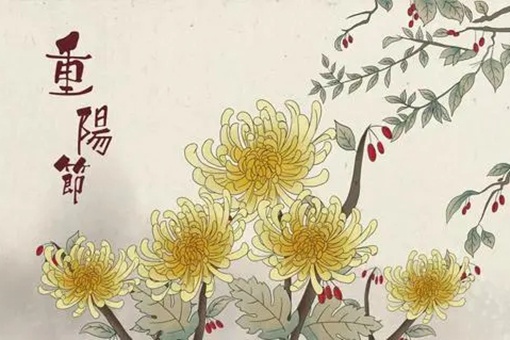 重阳节的活动有哪些 重阳节有哪些习俗